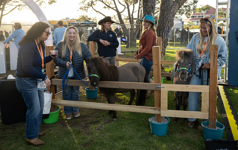 Roth Conference 2025